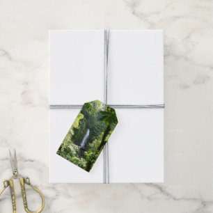 Trafalgar Falls Tropical Rainforest Photogratograp Presentetikett