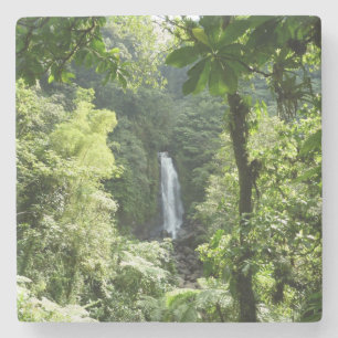 Trafalgar Falls Tropical Rainforest Photogratograp Stenunderlägg
