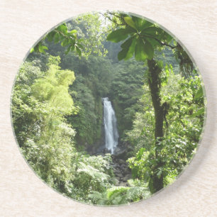 Trafalgar Falls Tropical Rainforest Photogratograp Underlägg