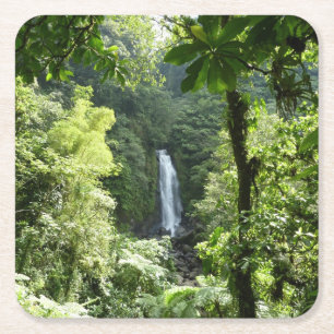 Trafalgar Falls Tropical Rainforest Photogratograp Underlägg Papper Kvadrat