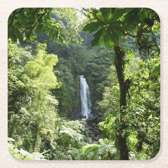 Trafalgar Falls Tropical Rainforest Photogratograp Underlägg Papper Kvadrat (Framsidan)