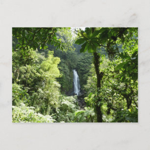 Trafalgar Falls Tropical Rainforest Photogratograp Vykort