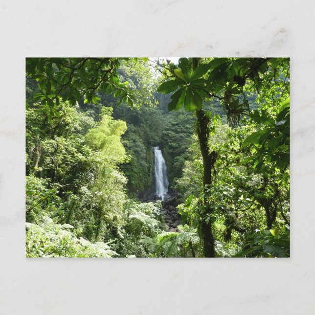 Trafalgar Falls Tropical Rainforest Photogratograp Vykort (Framsida)