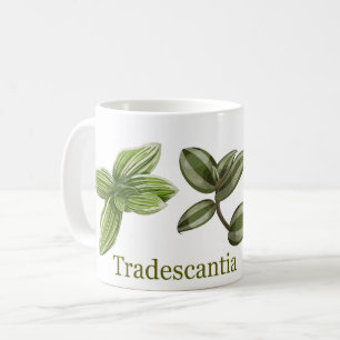 Trafallantia kopp