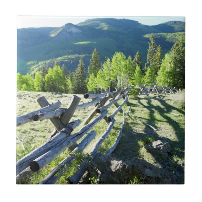 TräFenceline Kakelplatta (Framsidan)