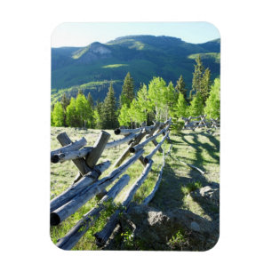 TräFenceline Magnet