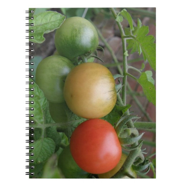 Traffic Light Tomates Notebook Anteckningsbok Med Spiral (Framsidan)