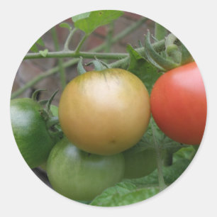 Traffic Light Tomates Stickers Runt Klistermärke