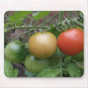 Traffic Light Tomatis Mousepad Musmatta