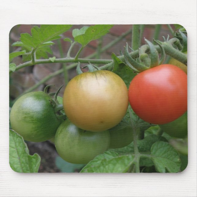 Traffic Light Tomatis Mousepad Musmatta (Framsidan)