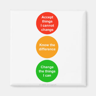 Traffic Ljus - Sak I can change - Magnet