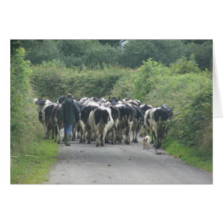 Trafiken Sylt! OBS Kort