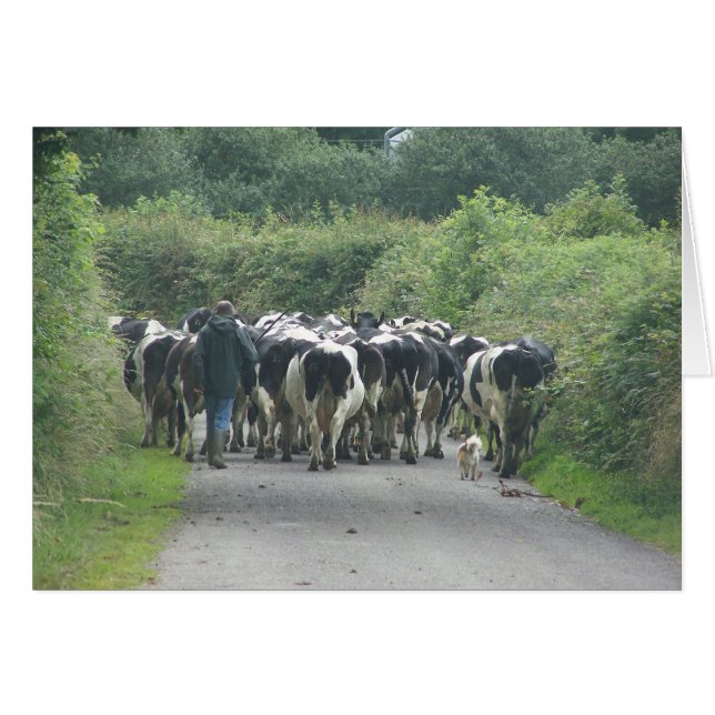 Trafiken Sylt! OBS Kort (Framsidan Horizontal)