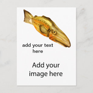 träfisk vykort