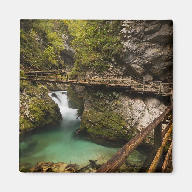 Trägångväg genom Vintgar Gorge canyon Magnet (Framsidan)