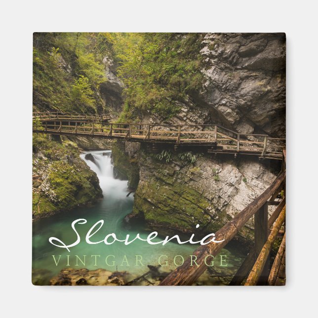 Trägångväg genom Vintgar Gorge canyon Magnet (Framsidan)