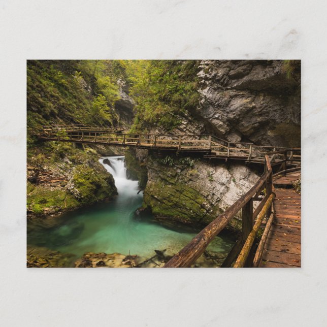 Trägångväg genom Vintgar Gorge canyon Vykort (Framsida)