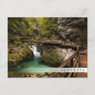 Trägångväg genom Vintgar Gorge canyon Vykort