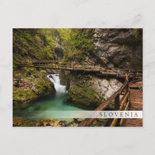 Trägångväg genom Vintgar Gorge canyon Vykort (Framsida)