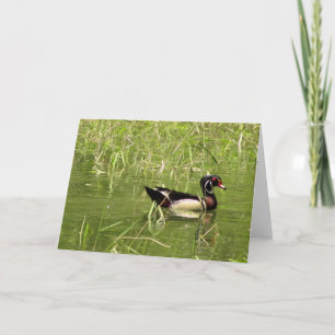 Trägårdssnäppa Greeting Card Kort