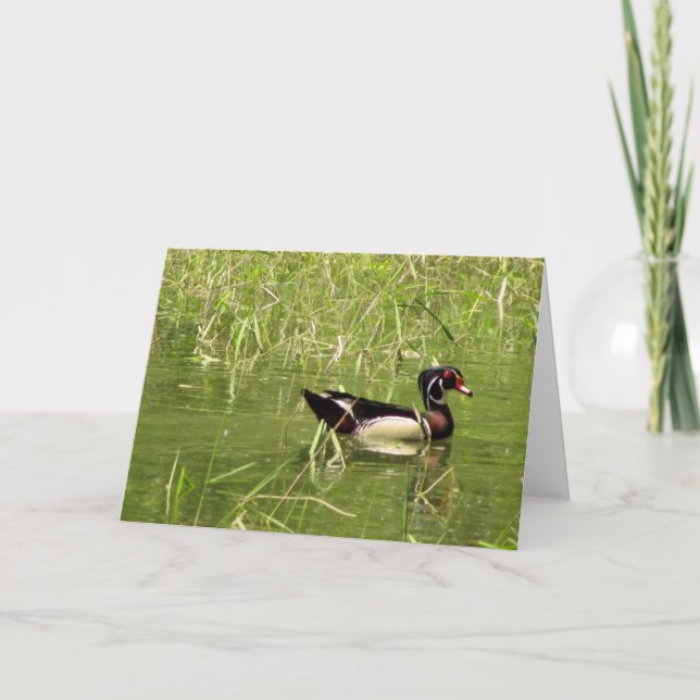 Trägårdssnäppa Greeting Card Kort (Framsida)