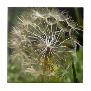 Tragopogon WildblommSalsify Nature Älskare Art Kakelplatta