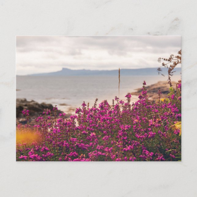 Traigh Beach och Eigg Vykort (Framsida)