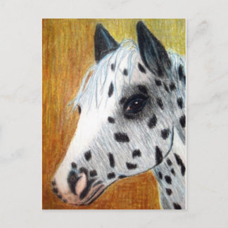 ’Trail Ride’ Appalloosa Horse Vykort