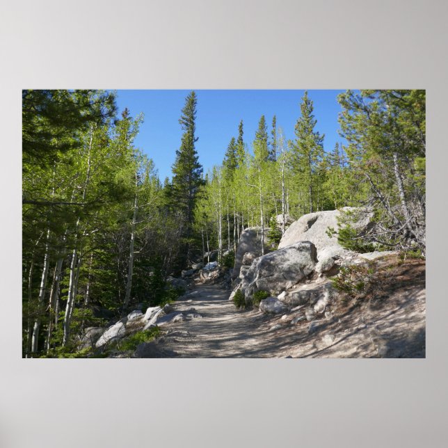 Trail to Alberta Falls Poster (Framsidan)