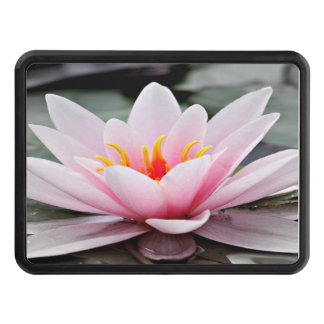 Trailer Hitch Cover Dragkroksskydd