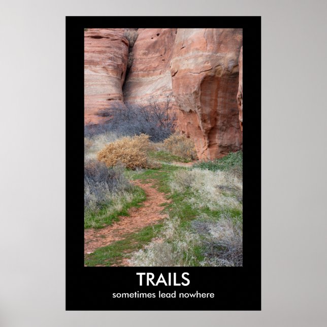 TRAILS Demotiational Poster (Framsidan)
