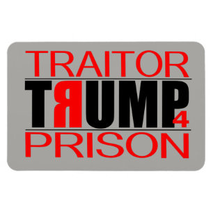TraitorTrump 4 fängelse Magnet