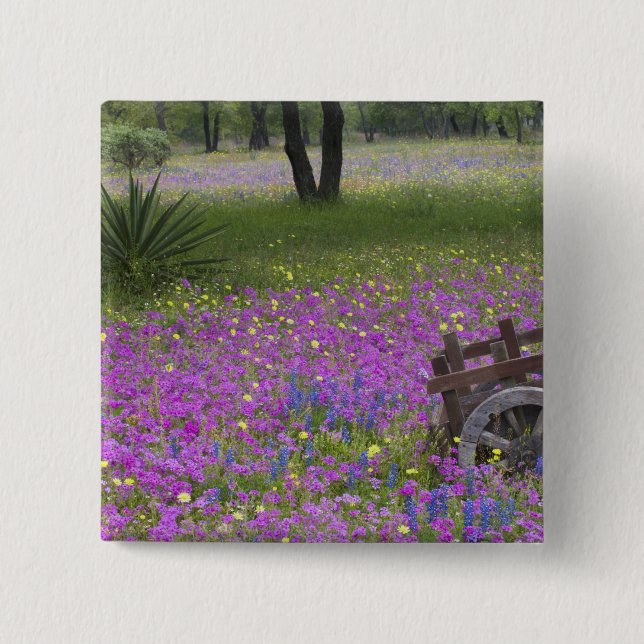 Träkärra i fält av Phlox, blå bonnetter med Knapp (Framsida)