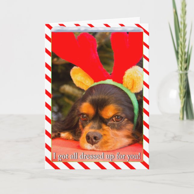 Tråkig King Charles Spaniel Ren Julkort Helgkort (Framsida)