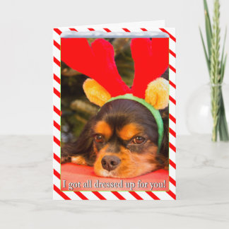 Tråkig King Charles Spaniel Ren Julkort Helgkort