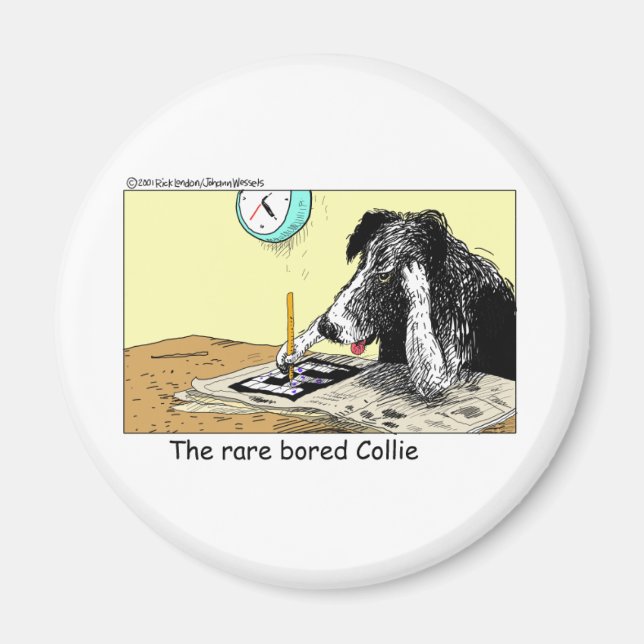 Tråkiga Border Collie Roliga Gåvor T-shirts Samlar Magnet (Framsidan)