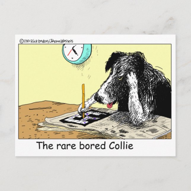 Tråkiga Border Collie Roliga Gåvor T-shirts Samlar Vykort (Framsida)