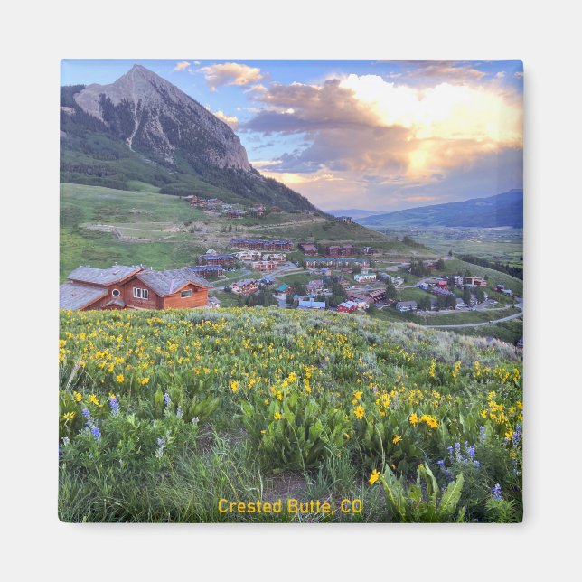 Träknut, CO-foto Magnet (Framsidan)