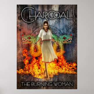 Träkol: maiden poster