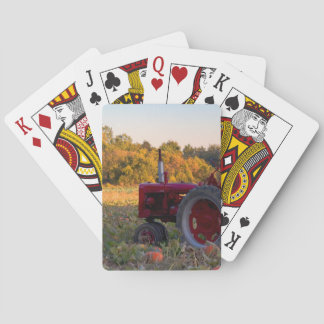 Traktor i en pumpa fält casinokort