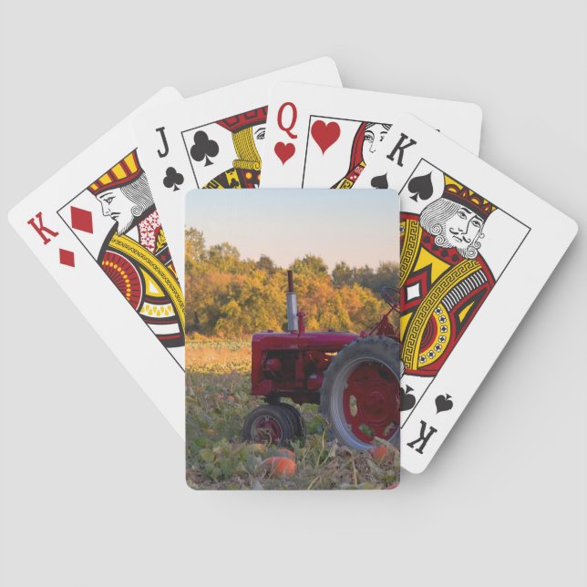 Traktor i en pumpa fält casinokort (Baksidan)