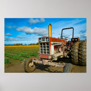 Traktor i Tulip Fält Poster