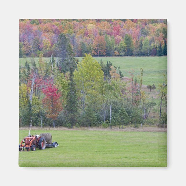Traktor med häckbale i grönt fält med magnet (Framsidan)