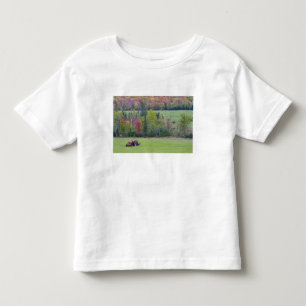 Traktor med höbal på grönt fält med t shirt