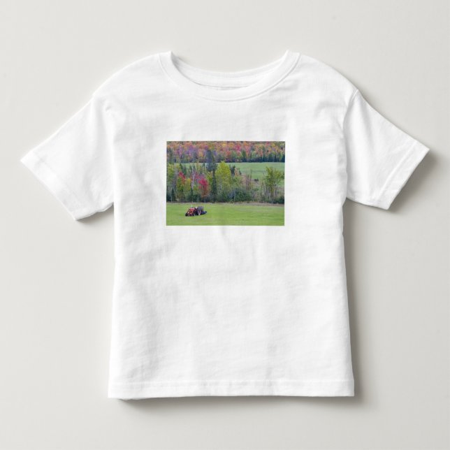 Traktor med höbal på grönt fält med t shirt (Framsida)