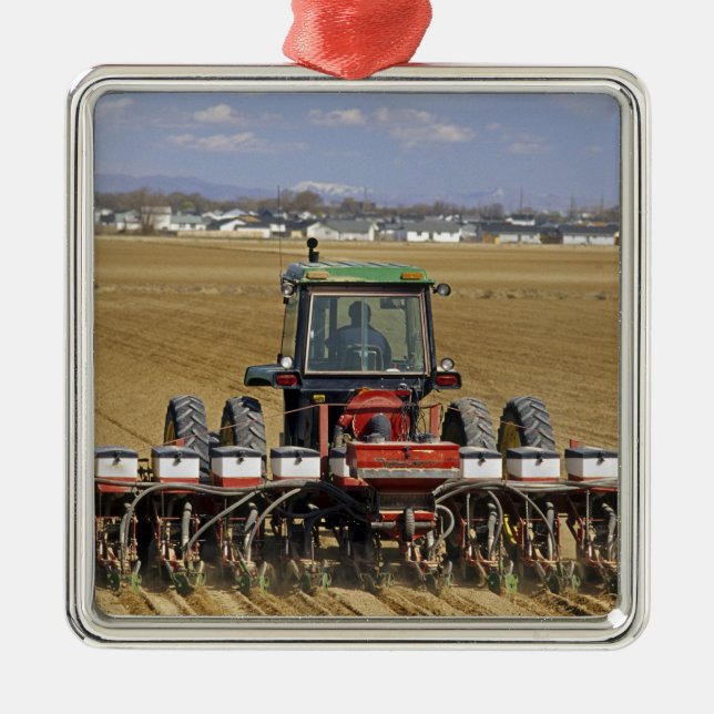 Traktor som drar en majssämaskin. julgransprydnad metall (Framsidan)