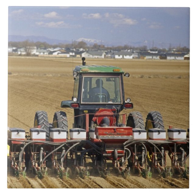 Traktor som drar en majssämaskin. kakelplatta (Framsidan)