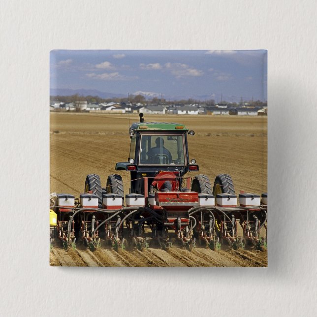 Traktor som drar en majssämaskin. knapp (Framsida)