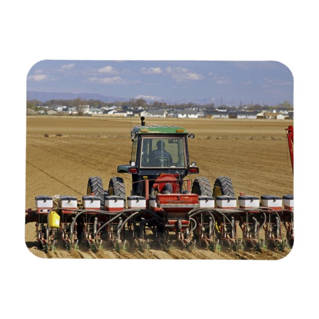 Traktor som drar en majssämaskin. magnet (Horisontell)