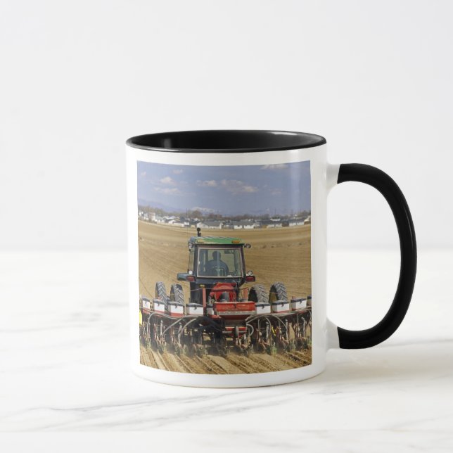 Traktor som drar en majssämaskin. mugg (Höger)
